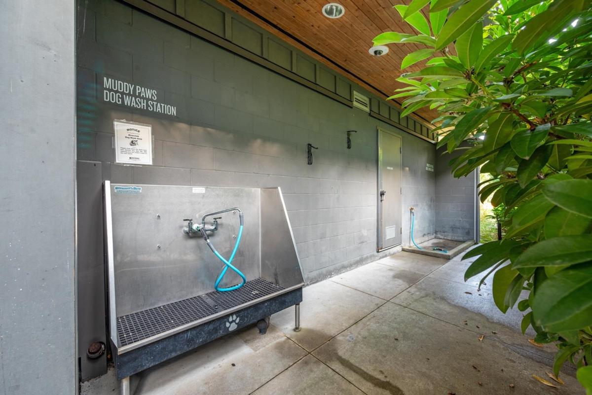 Outdoor Kitchen Photo of 25 2358 Ranger Lane, Port Coquitlam, BC