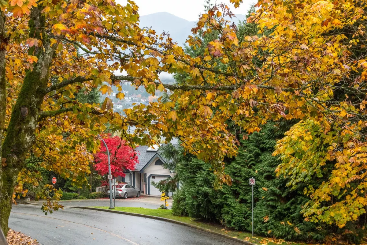 Backyard Photo of 507 Cambridge Way, Port Moody, BC