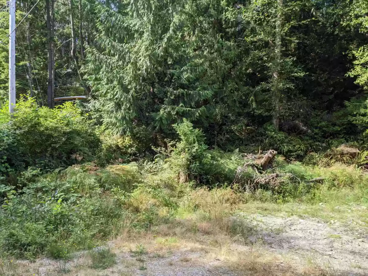 Living Room Photo of 16570 Timberline Road, Sechelt, BC