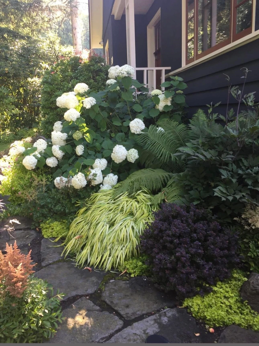 Aerial View of 349 E 24th Street, North Vancouver, BC