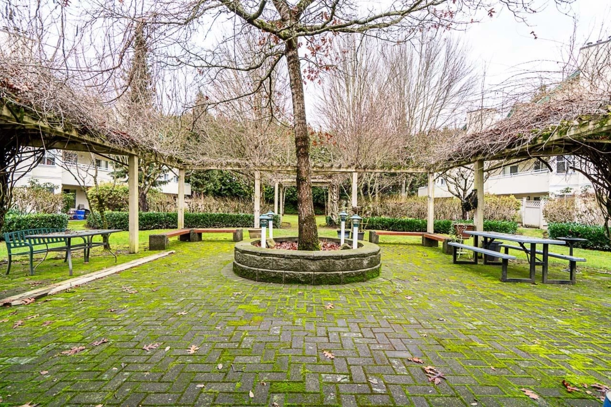 Backyard Photo of 118 12633 72 Avenue, Surrey, BC