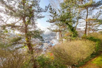 Loft / Bonus Room Photo of 203 220 Eleventh Street, New Westminster, BC