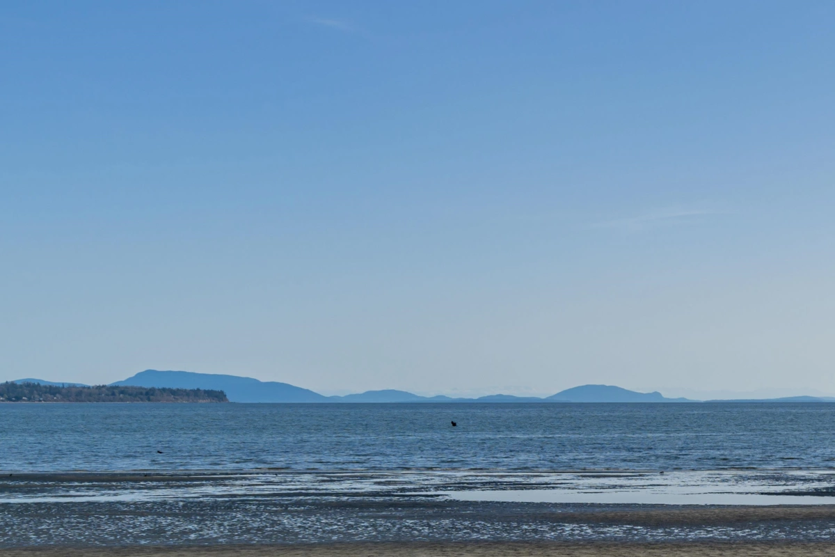 Office / Den Photo of 203 1160 Oxford Street, White Rock, BC