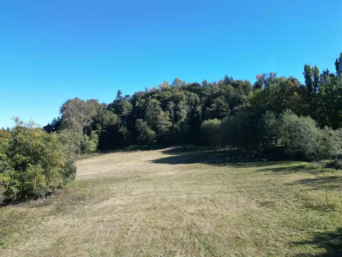 Kitchen Island Photo of 8410 Bradner Road, Abbotsford, BC