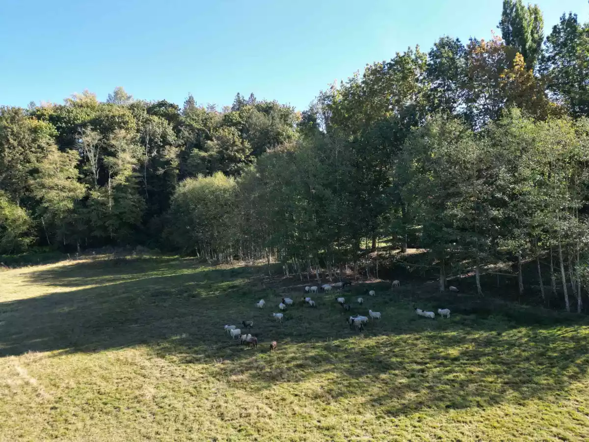 Pantry Photo of 8410 Bradner Road, Abbotsford, BC