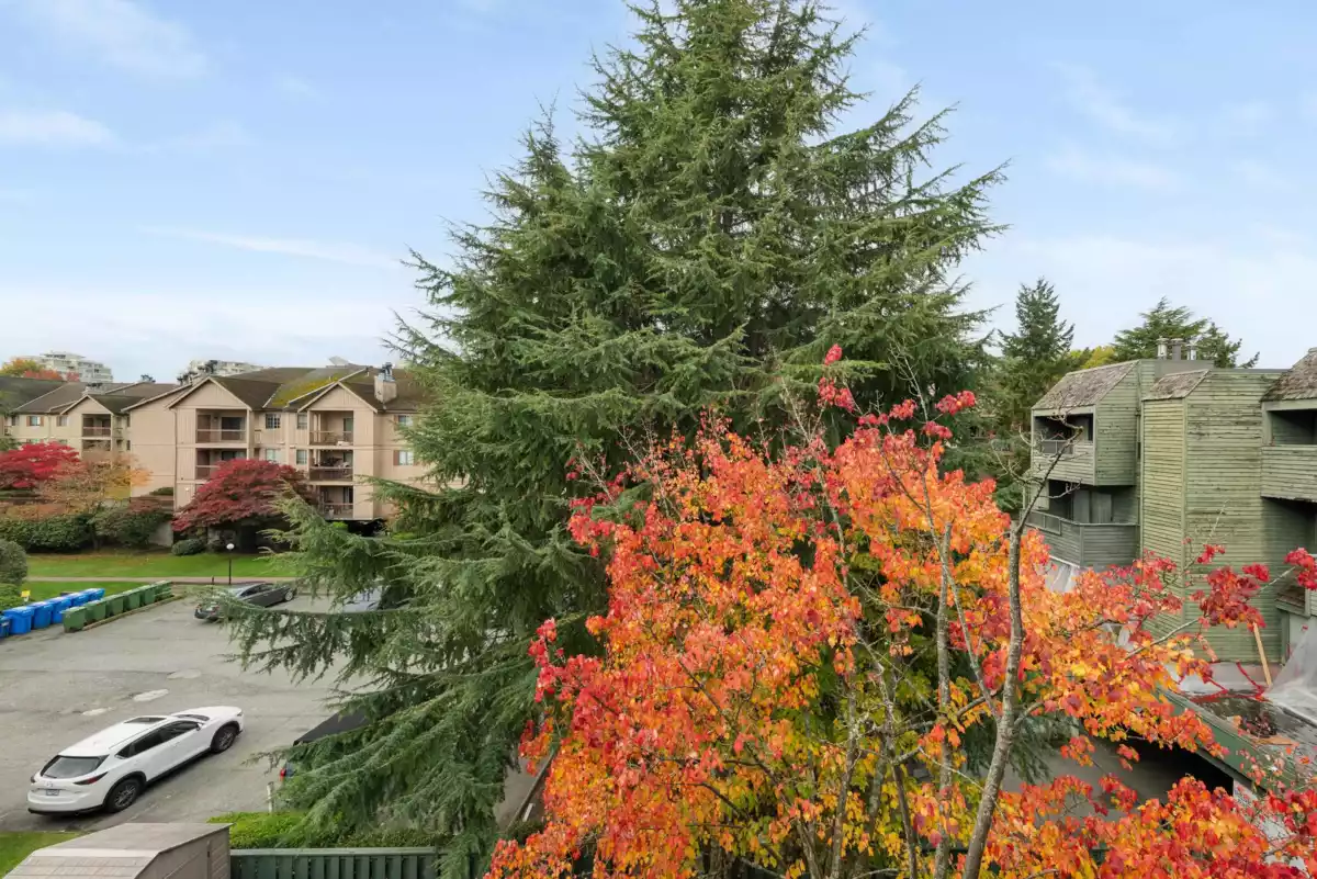 Loft / Bonus Room Photo of 303 8600 Ackroyd Road, Richmond, BC
