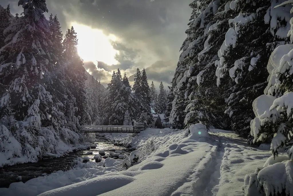 Backyard Photo of H118 Strawberry Lane, Sunshine Valley, BC