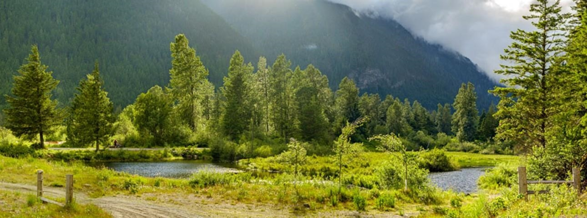 Exterior Rear Photo of H118 Strawberry Lane, Sunshine Valley, BC