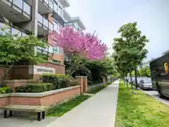235 9500 Odlin Road, Richmond, BC