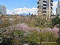 515 2188 Madison Avenue, Burnaby, BC