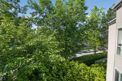 Backyard Photo of 302 2429 Hawthorne Avenue, Port Coquitlam, BC