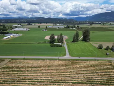 Backyard Photo of 34561 Fore Road, Abbotsford, BC