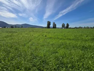 Neighborhood Park Photo Near 34561 Fore Road, Abbotsford, BC