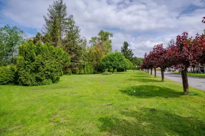 Garden / Landscaping Photo of 62 27111 Avenue, Langley, BC