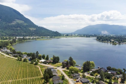 Aerial View of 35218 SWARD ROAD, Mission BC V2V 4J1