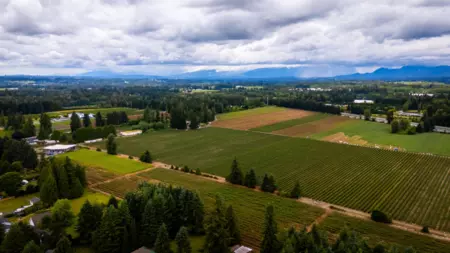 Neighborhood Park Photo Near 25088 59 Avenue, Langley, BC