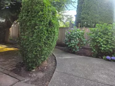Front Yard Photo of 38 11571 Thorpe Road, Richmond, BC