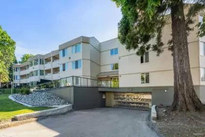 304 9635 121 Street, Surrey, BC, Surrey — Apartment/Condo for sale