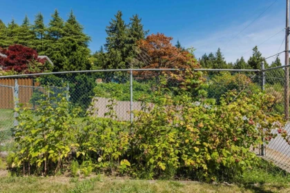 Outdoor Kitchen Photo of 6505 Meier Road, Sechelt, BC