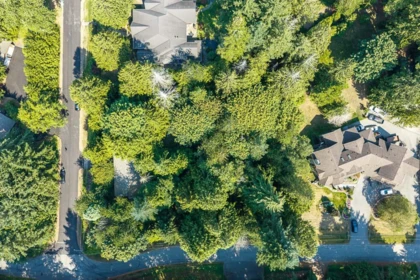 3530 142a Street, Surrey, BC, Surrey — Single Family Residence for sale