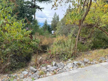 Kitchen Photo of LOT 66 Packalen Boulevard, Garden Bay, BC