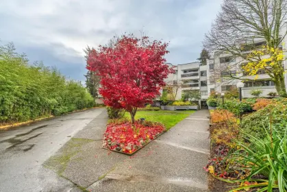 308 8760 Blundell Road, Richmond, BC, Richmond — Apartment/Condo for sale