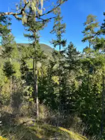LOT 8 13685 Lee Road, Garden Bay, BC, Garden Bay — Land for sale
