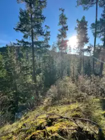 LOT 8 13685 Lee Road, Garden Bay, BC, Garden Bay — Land for sale