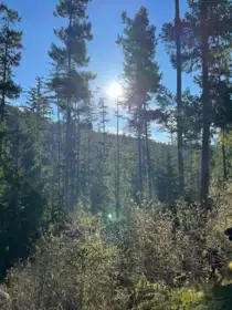 LOT 8 13685 Lee Road, Garden Bay, BC, Garden Bay — Land for sale