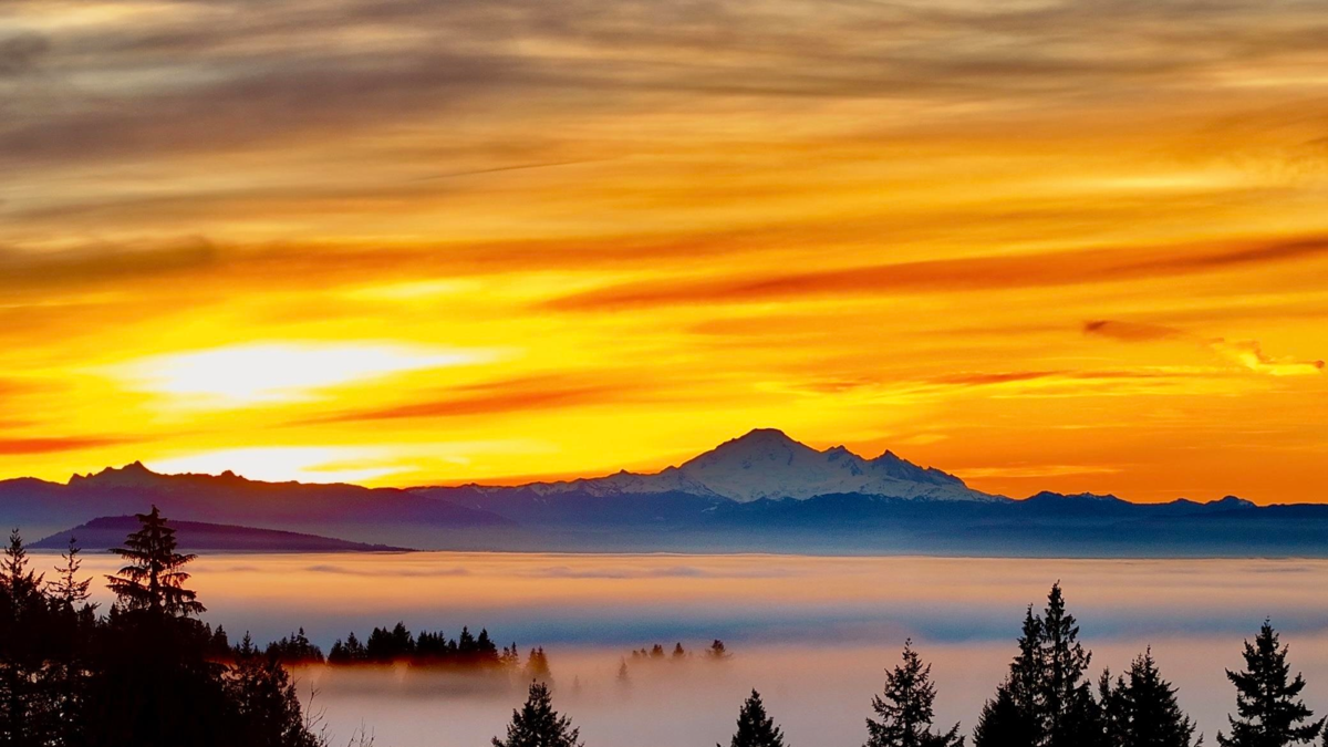 Exterior Rear Photo of 3066 Tanager Court, Coquitlam, BC