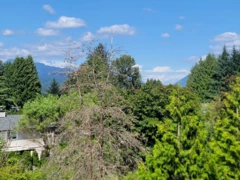 MLS R3025223