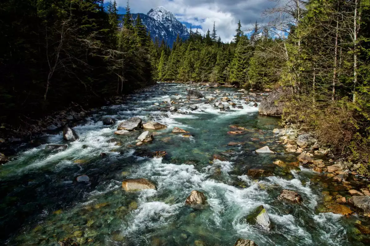 Loft / Bonus Room Photo of 404 22351 St Anne Avenue, Maple Ridge, BC