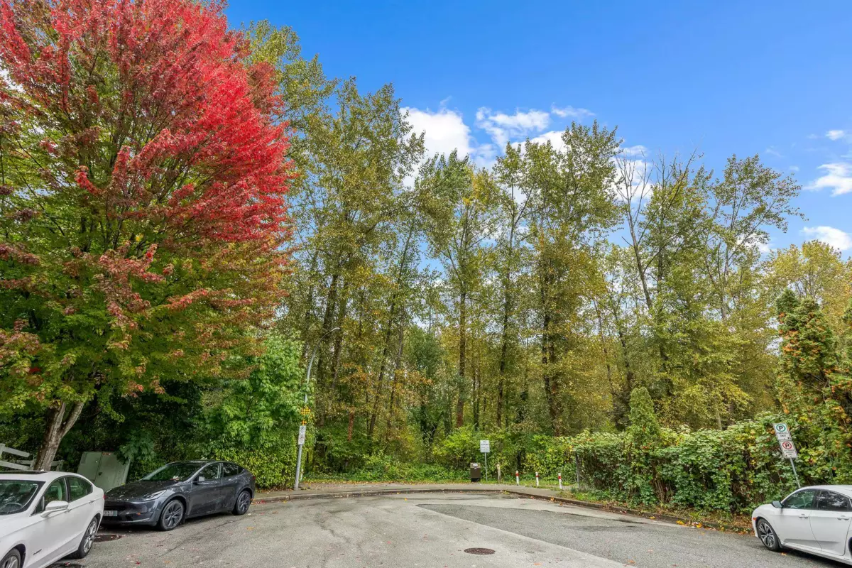 Swimming Pool Photo of 5 2495 Davies Avenue, Port Coquitlam, BC