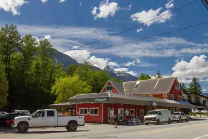 41655 Government Road, Squamish, BC, Squamish — Land for sale