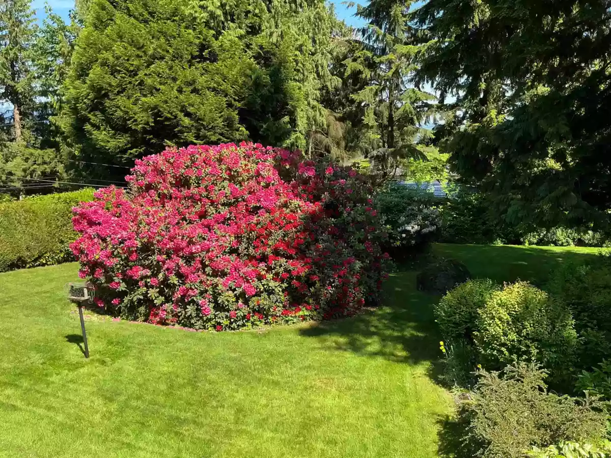 Breakfast Nook Photo of 3005 Fleet Street, Coquitlam, BC