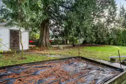 Neighborhood Park Photo Near 3328 Marvern Way, Abbotsford, BC