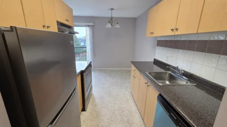 339 8091 Ryan Road, Richmond, BC