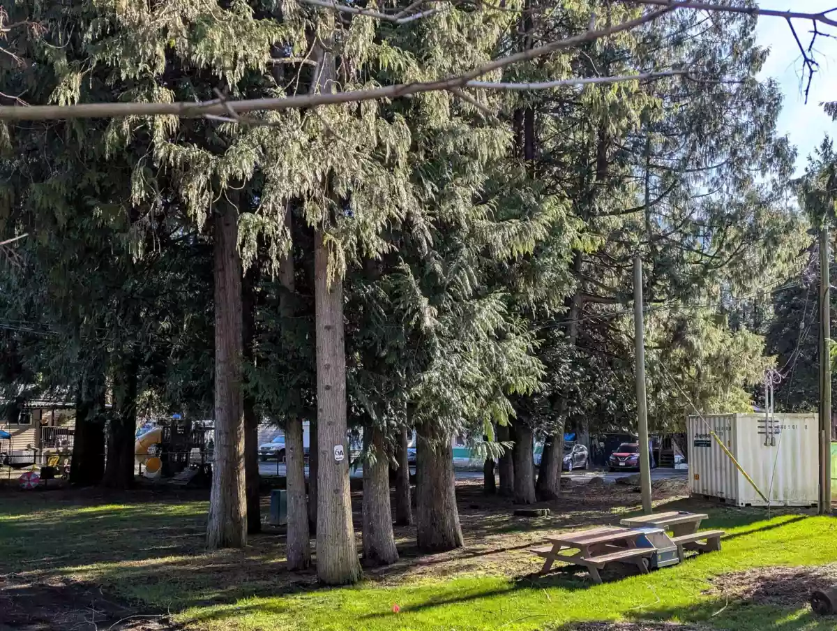 Aerial View of 10 52604 Yale Road, Rosedale, BC