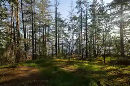 Hot Tub / Spa Photo of LOT C Sunshine Coast Highway, Sechelt, BC