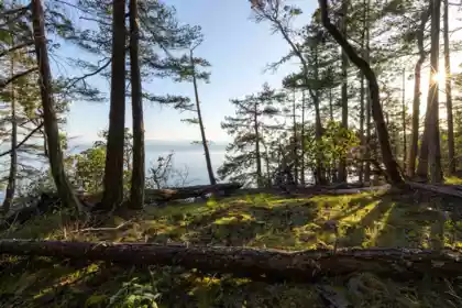 Staircase Photo of LOT C Sunshine Coast Highway, Sechelt, BC