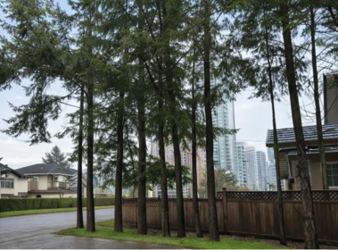 Outdoor Patio Photo of 13464 98a Avenue, Surrey, BC