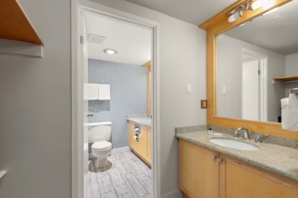 Primary Bathroom Photo of 310 4420 Sundial Place, Whistler, BC