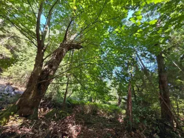 488 Letour Road, Mayne Island, BC, Mayne Island — Land for sale