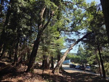 488 Letour Road, Mayne Island, BC, Richmond —  bed land for sale