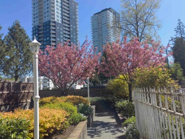 Outdoor Deck Photo of 311 10128 132 Street, Surrey, BC