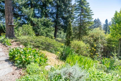 Playground / Recreational Area Near 37267 Schooner Way, Pender Island, BC