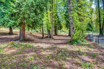 Garden / Landscaping Photo of 106 9233 Government Street, Burnaby, BC