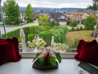 Laundry Room Photo of 1542 Alpine Lane, Coquitlam, BC