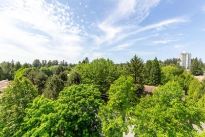 Aerial View of 905 15030 101 Avenue, Surrey, BC