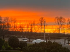 105 4815 48 Avenue, Delta, BC